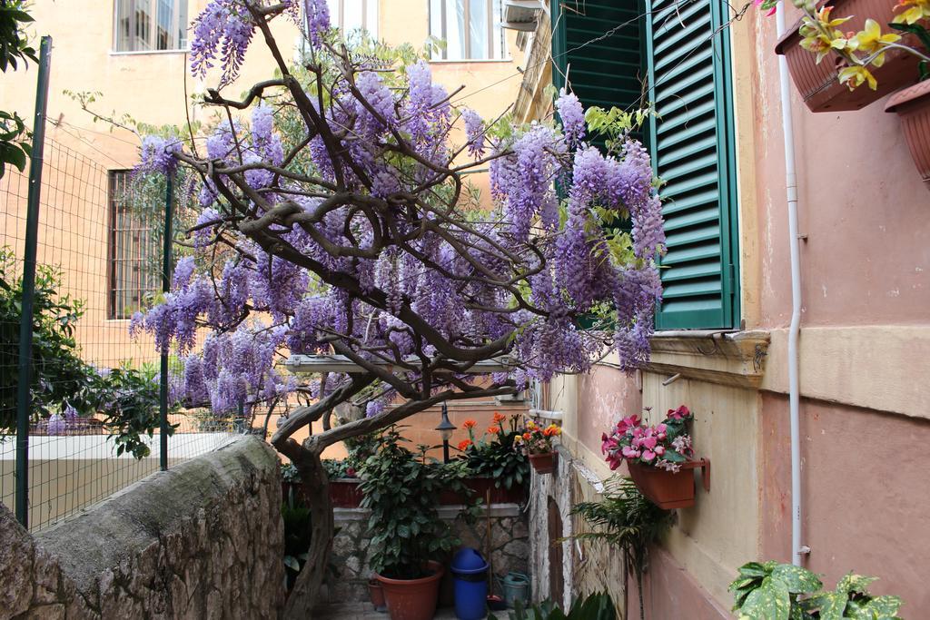 Pavia Roma