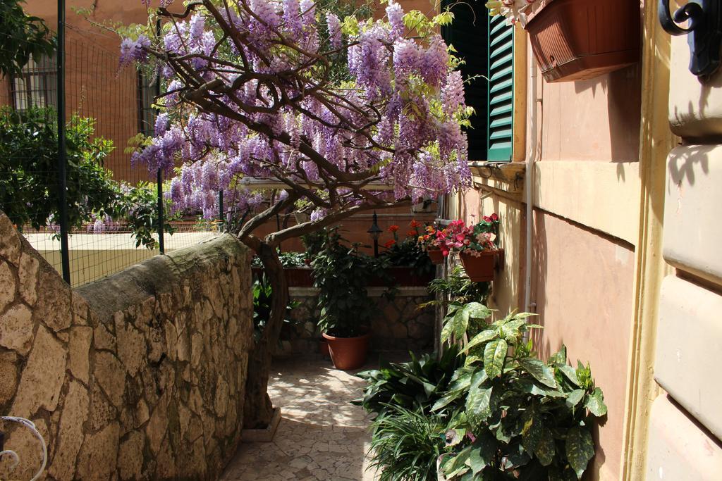 Pavia 3*