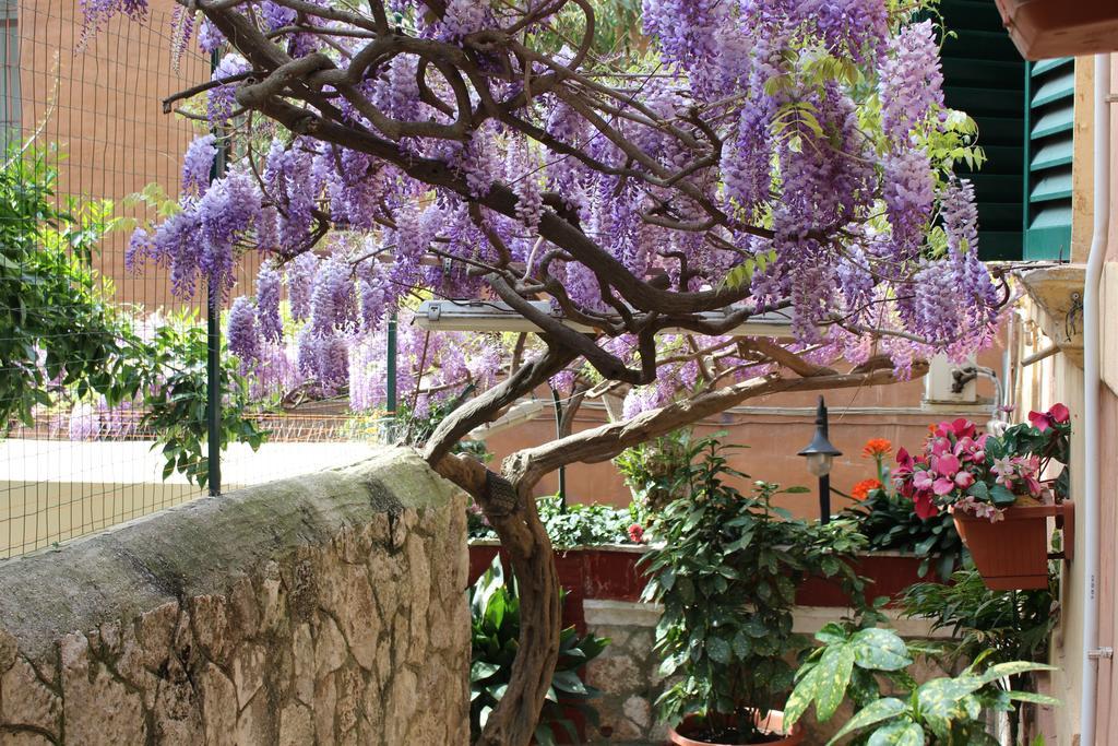 Pavia 3* Roma