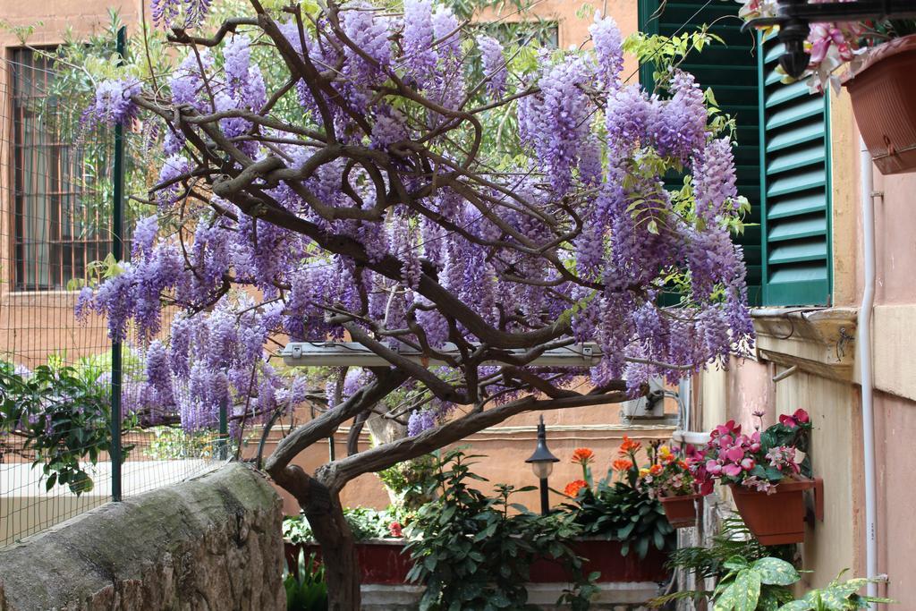 Hotel Pavia 3*