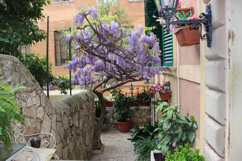 Pavia 3*